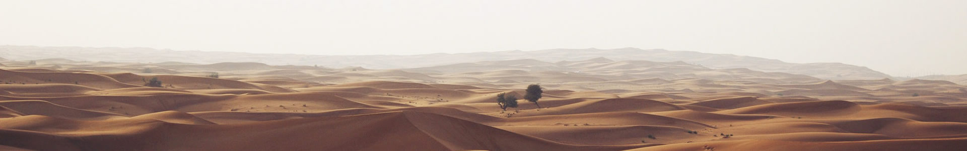 żҸۿԴе޹˾